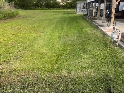 Lawn care service in Baton Rouge, 70802