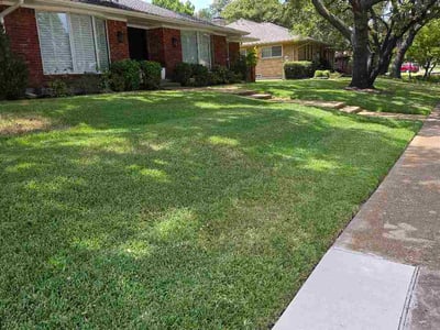 Lawn care service in Dallas, 75214