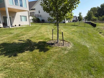 Lawn care service in Waukee, 50263