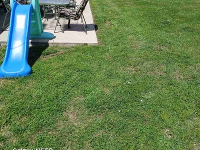 Lawn care service in Spokane, 99207