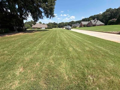Lawn care service in McDonough, 30252