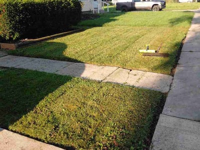 Lawn care service in Toledo, 43608
