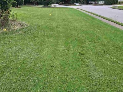 Lawn care service in Dacula, 30019