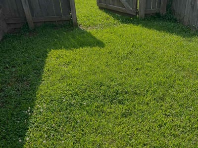 Lawn care service in Fayetteville, 72704