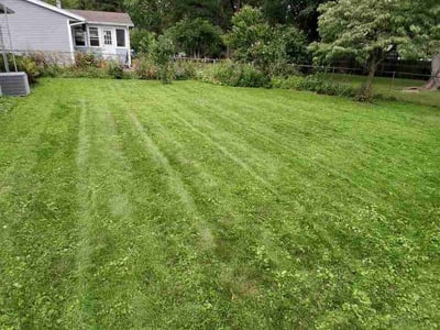Lawn care service in Niles, 49120