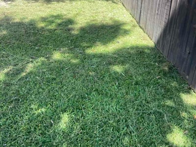 Lawn care service in Mesquite, 75149