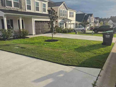 Lawn care service in Lexington, 29073