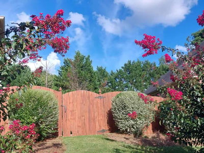 Lawn care service in Indian Trail, 28079