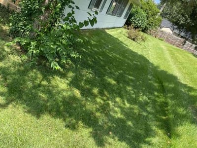 Lawn care service in Bowie, 20715