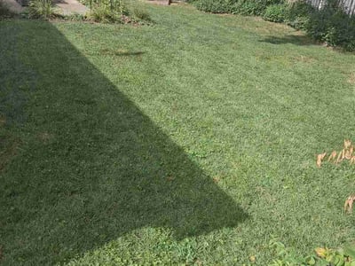 Lawn care service in St. Louis, 63122