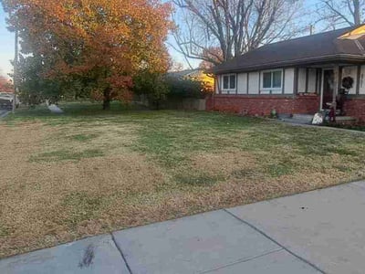 Lawn care service in , 