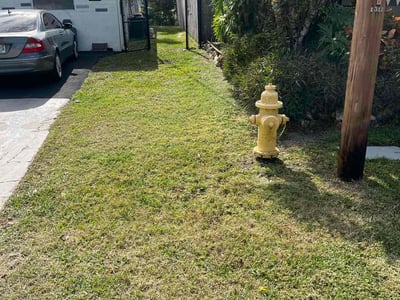 Lawn care service in New Port Richey, 34652