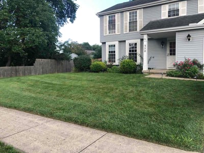 Lawn care service in Vandalia, 45377