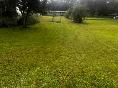 Lawn care service in Belleview, 34420