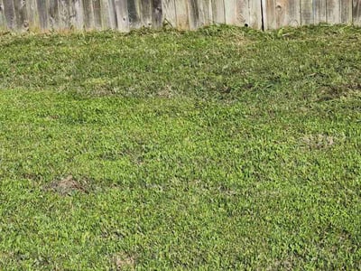 Lawn care service in Pflugerville, 78660