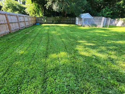 Lawn care service in Norfolk, 23503