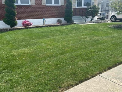 Lawn care service in Wilmington, 19804