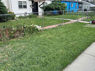 Lawn care service in Denver, 80204