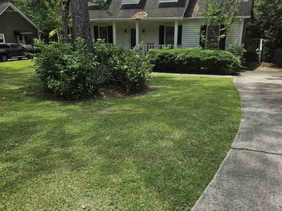Lawn care service in Columbia, 29204