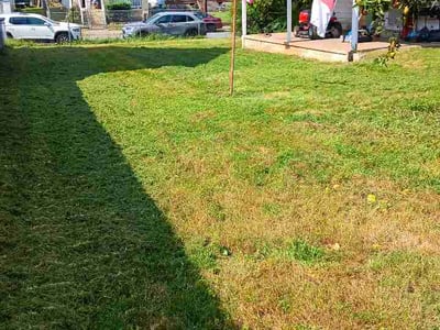Lawn care service in Roanoke, 24013