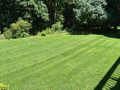 Lawn care service in Greensboro, 27410