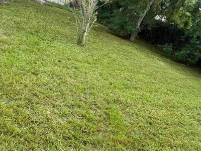 Lawn care service in Kissimmee, 34758