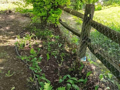 Lawn care service in Middletown, 17057