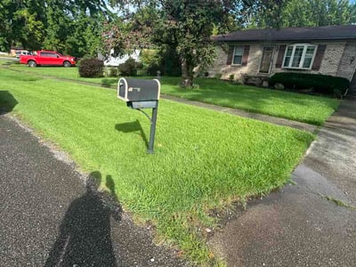 Lawn care service in Louisville, 40218