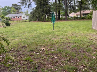 Lawn care service in , 