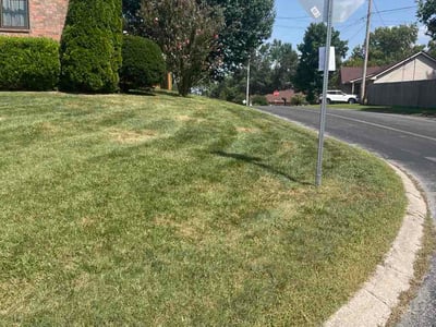 Lawn care service in Nashville, 37211