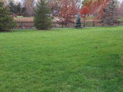 Lawn care service in Zionsville, 46077