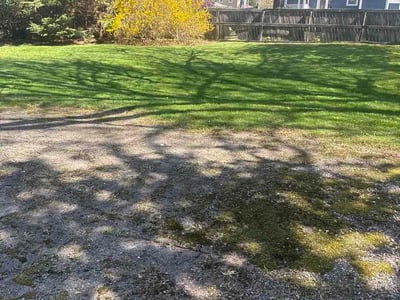 Lawn care service in Warwick, 02889