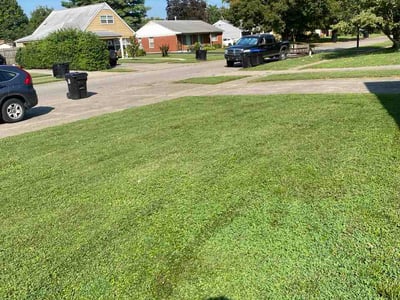 Lawn care service in Louisville, 40220