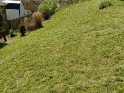 Lawn care service in Cincinnati, 45247
