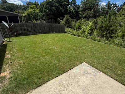 Lawn care service in Buford, 30519