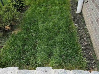 Lawn care service in Cliffside Park, 07010