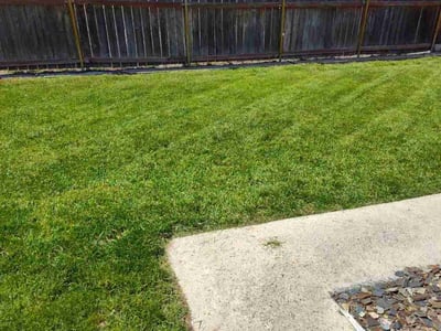 Lawn care service in Spokane, 99205
