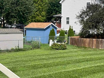 Lawn care service in Madison, 53718
