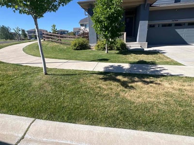 Lawn care service in Aurora, 80016