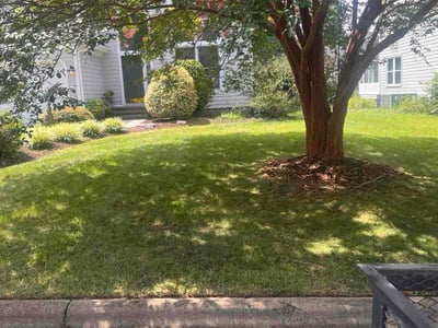 Lawn care service in Chapel Hill, 27516