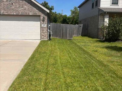 Lawn care service in San Leon, 77539