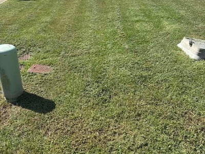 Lawn care service in Moundville, 35474
