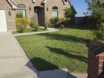 Lawn care service in Edinburg, 78541