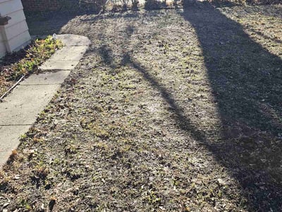 Lawn care service in , 