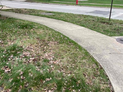 Lawn care service in Parma Heights, 44130