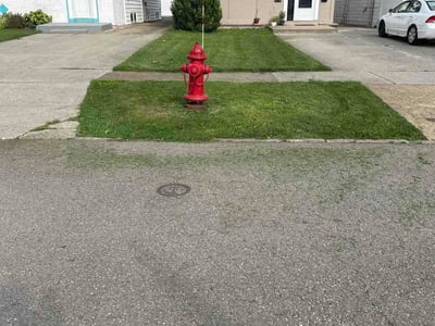 Lawn care service in Buffalo, 14216