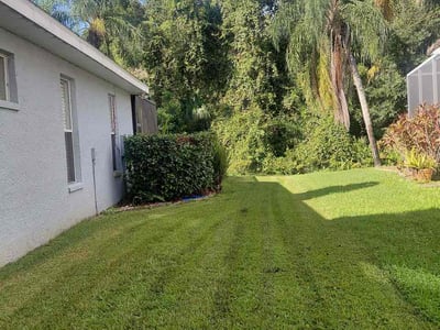 Lawn care service in Tampa, 33626