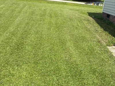 Lawn care service in Raleigh, 27603