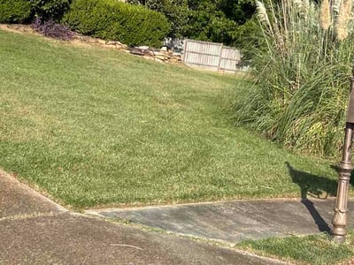 Lawn care service in Brandon, 39047