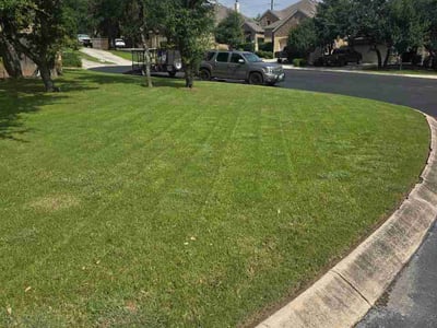Lawn care service in Boerne, 78015